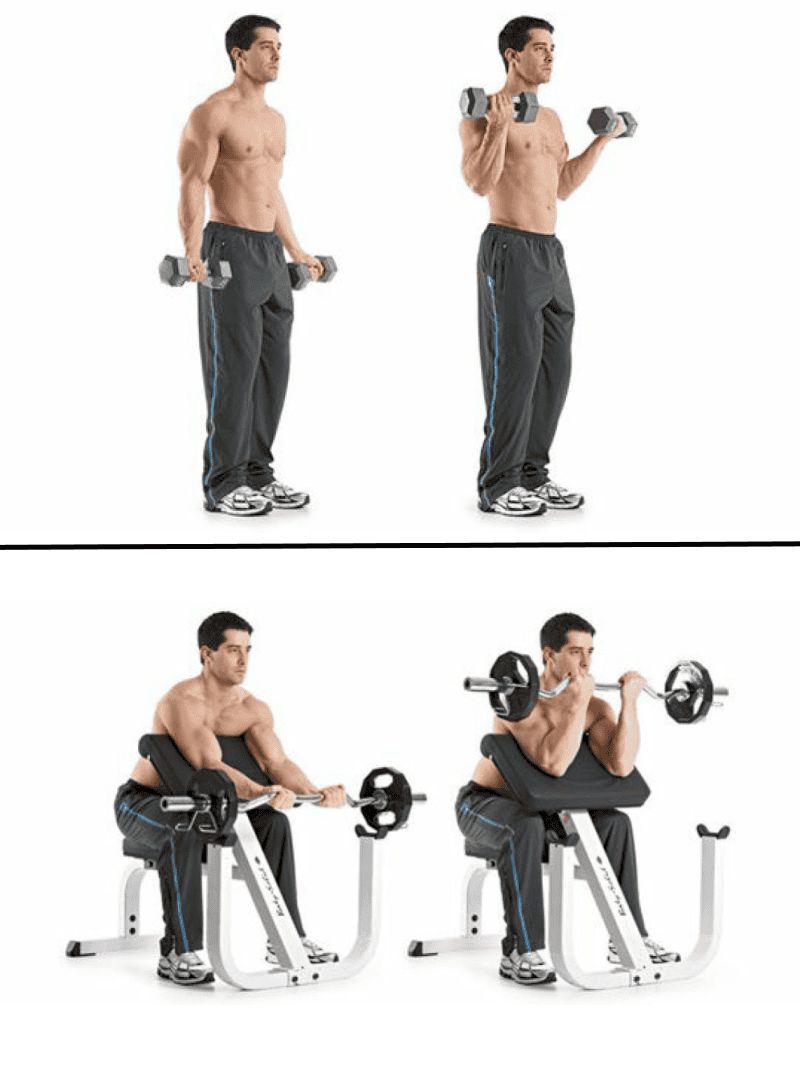 ćwiczenia na biceps krzywa siły
