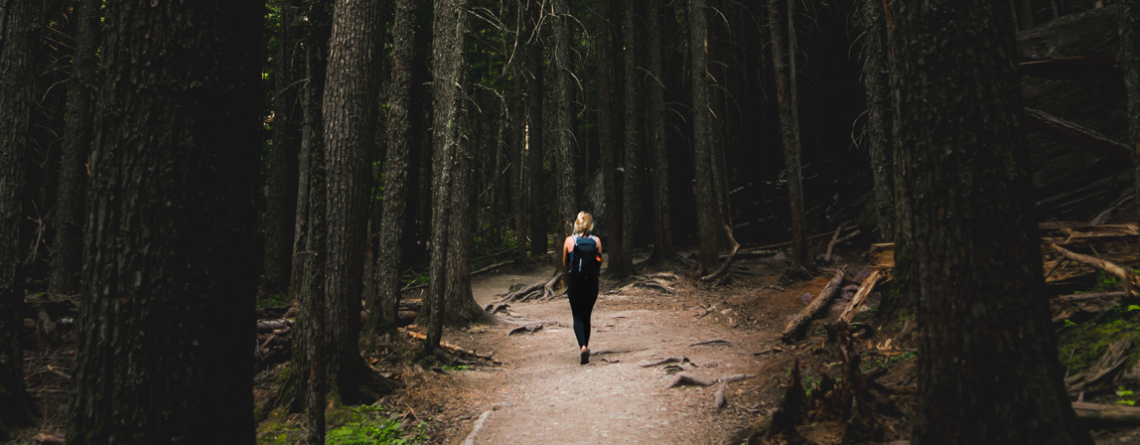 Spacer po lesie to dla Twojego organizmu zastrzyk odporności.
