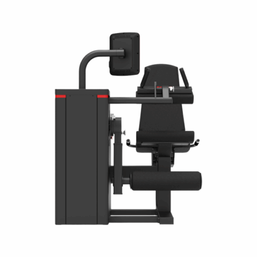 eliga sports leg curl