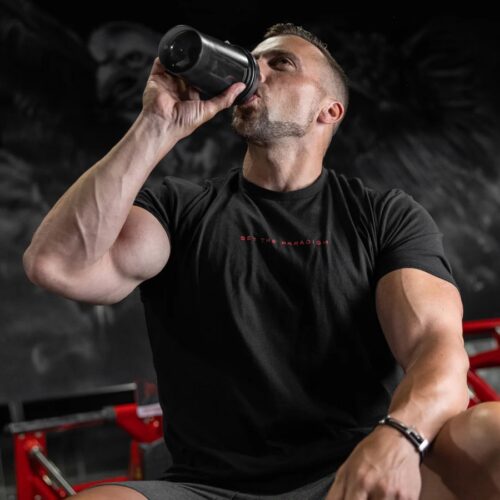 kreatyna cregaatine new level sport